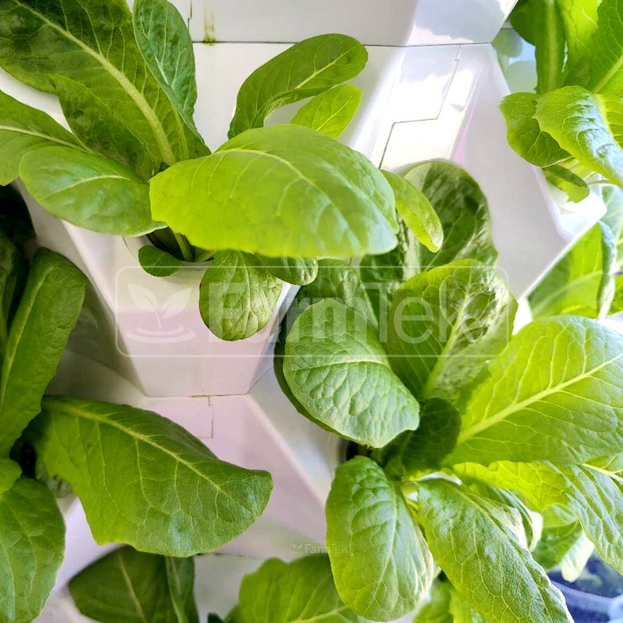 Farmtek Hydroponic Tower System Kit Vertical Farming Aeroponic Tower (HT864)