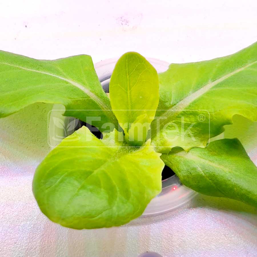 Farmtek AB Fertilizers Aeroponic Hydroponic Nutrients 1L + 1L (Makes 400L) HydroGrow High Concentration