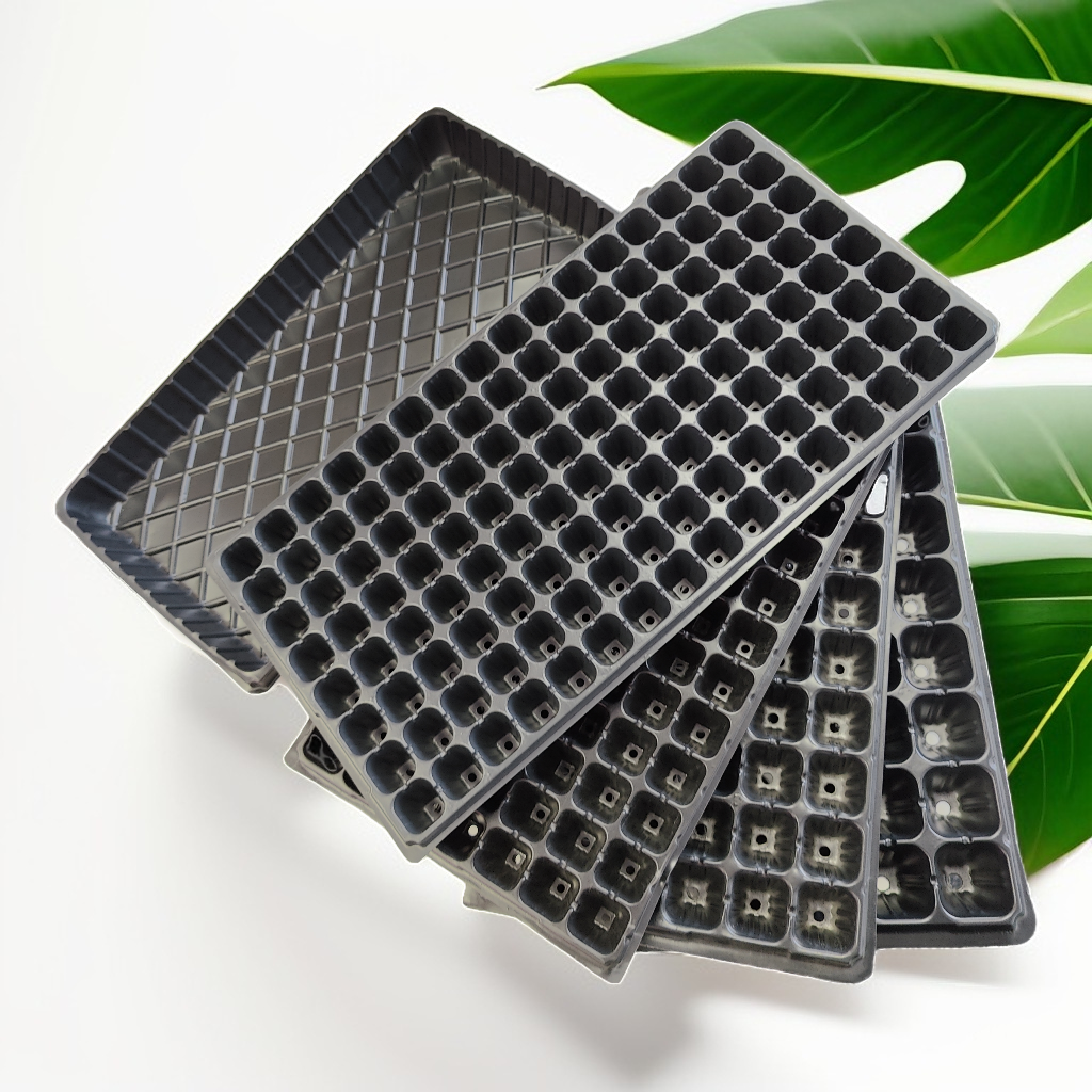 50 Cells Nursery Seedling Tray Propagation Tray (3 Trays)