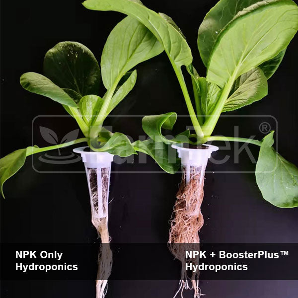 BoosterPlus™ Fulvic Acid Organic Nutrient Supplement For Plants Powerful Bio-Stimulants 1KG (makes 4,000 L / 4 Tons)