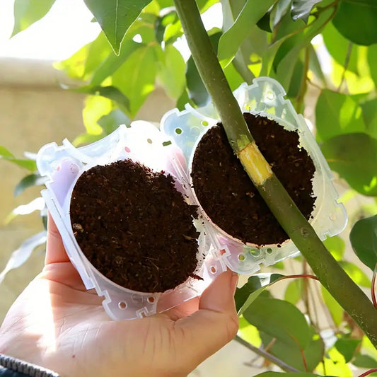 10x Tree Branch Rooting Propagation Box Cutting Grafting Rooting Box (S)
