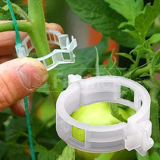 Tomato Clips Clamps (50x)